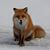 Giusseppe Antonio Volpi's profile image