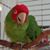 Lynn Morris's profile image