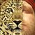 David Martin's profile image