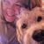 Beth Phelan Stokes's profile image