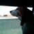 An'nita Dubson's profile image