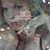 Tammy R Shelby-Adams's profile image