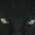 Carmen Luttrell-Roe's profile image