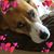 Lori Lewis Stein's profile image