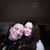 Jacqueline Ratliff Morgante's profile image