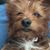 Michelle Moschel-Kennedy's profile image