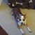 Lisa Stabile's profile image