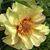 Leah LaChausse's profile image