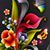 Marce Alvarez's profile image