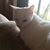 Loraine Spies's profile image
