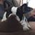 Sherri Randolph's profile image