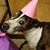 Yvonne VanHorn's profile image