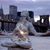 Margaret Tripodi's profile image