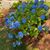 Pat Rook-Blanchard's profile image