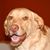 Scott MacCabe's profile image
