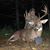 Jim Olsson's profile image