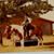 Sherri E. Williams's profile image