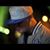 Virgen Montes's profile image