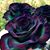 Kimberly Jackson's profile image