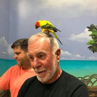 Gene Hanrahan's profile image