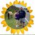 Nicole Esposito Califano's profile image