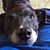 Sue Kizer's profile image