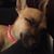 Amanda Tackett's profile image