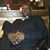 Demetrius Watts's profile image