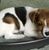 Susan Karns's profile image