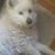 Sherri Lynn Gannaway's profile image