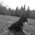 Vicki Treadwell's profile image