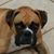 Joella Pipkin's profile image