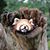 Gordon McAlpin's profile image