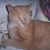 Joanne Reilly's profile image