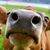 Bambi Ayres Smith's profile image