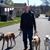 Bob Witmer's profile image