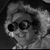 Brian Condie's profile image