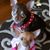 Suellen Mrosz Gaddy's profile image