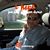 Nick C. Baker's profile image