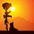 Javier Rosa's profile image