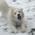 Maureen Meyers Farrar's profile image
