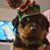 Corey Mrcvip Smiley's profile image