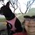 Maricruz Covarrubias's profile image