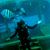 Brittany Stayton's profile image