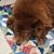 Mimi Hale's profile image