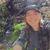 Bob Urtz's profile image