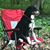 Angel Belke's profile image