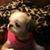 Amy Smith's profile image