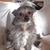 Aarne Hamalainen's profile image