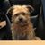 Tiffany Ann McGillis's profile image